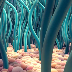 3D illustration of ciliated cells, with cilia shown in blue.