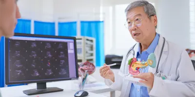 Older doctor explaining pancreatic cancer using ultrasound pictures and a 3D model to the patient.