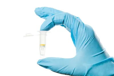 A gloved hand holding a small Eppendorf tube upright against a white background.