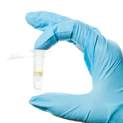 A gloved hand holding a small Eppendorf tube upright against a white background.