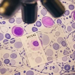 Microscope and digital DNA for toxicology and safety profiling