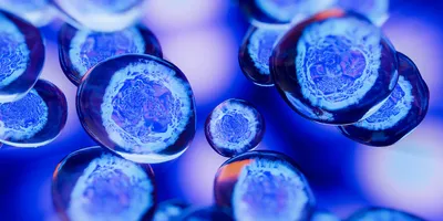 Fluorescent-style illustration of spherical embryonic stem cells clustered together against a dark background.