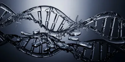 A conceptual illustration of a shattered glass DNA helix on a dark surface, with vibrant, glowing organic structures sprouting from the broken shards, symbolizing the lessons and progress gained from gene therapy failures.