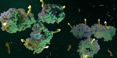 A 3D molecular visualization of antibody-like protein structures with attached yellow payloads floating against a dark, space-like background.