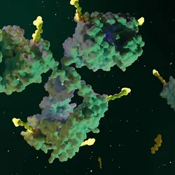A 3D molecular visualization of antibody-like protein structures with attached yellow payloads floating against a dark, space-like background.