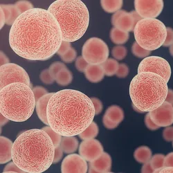 Microscopy-style illustration of numerous spherical, pink 3D cell structures floating against a dark background.