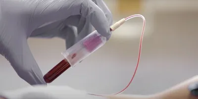 A gloved hand holds a test tube of blood.