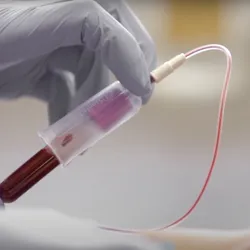 A gloved hand holds a test tube of blood.