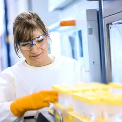 ProBioGen CLD Shake Flask Assay Performance Analysis Producer Clones