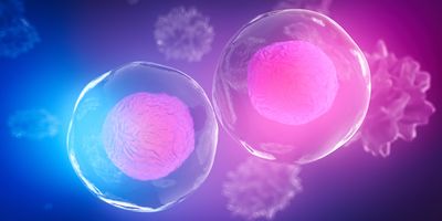 A 3D illustration of two glowing cells with visible nuclei floating in a purple and blue gradient background.
