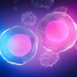 A 3D illustration of two glowing cells with visible nuclei floating in a purple and blue gradient background.