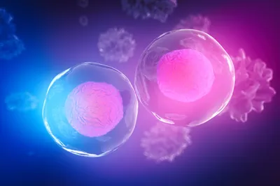 A 3D illustration of two glowing cells with visible nuclei floating in a purple and blue gradient background.