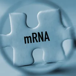 : A magnifying glass focuses on a puzzle piece labeled “mRNA,” symbolizing examining or analyzing messenger RNA.