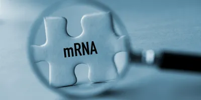 A magnifying glass focuses on a puzzle piece labeled “mRNA,” symbolizing examining or analyzing messenger RNA.