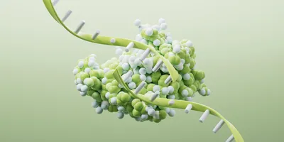 A cluster of translucent blue cells with dark central nuclei appears in a soft, out-of-focus microscopic view.