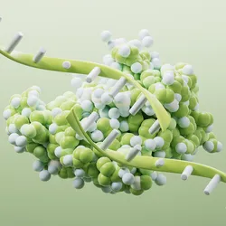 A cluster of translucent blue cells with dark central nuclei appears in a soft, out-of-focus microscopic view.