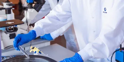 Lab technicians preparing samples for bladder cancer testing