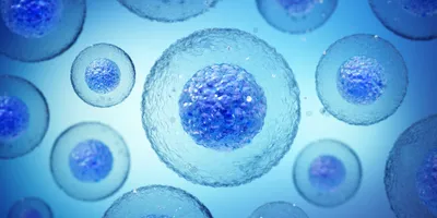 Illustration of cells highlighting AI for drug discovery