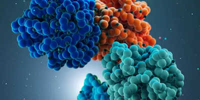 A 3D structure of a native enzyme from cyanobacteria that splits pigment molecules