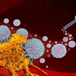 Illustration of cancer cells attacked by immune cells