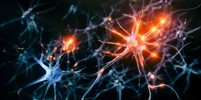 Neurons against back background 