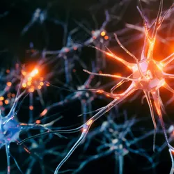 Neurons against back background 