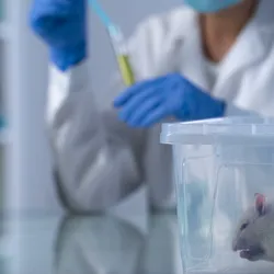 Lab rat in plastic box on table, woman scientist mixing chemical liquids in tube.