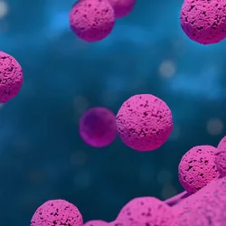 Scientific illustration of a cell releasing exosomes: small, spherical extracellular vesicles budding from and detaching off the cell’s plasma membrane into the surrounding space, shown as tiny capsule-like structures emerging from the cell surface.