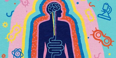 colorful, abstract representation of the connection between the human body and its microbiome