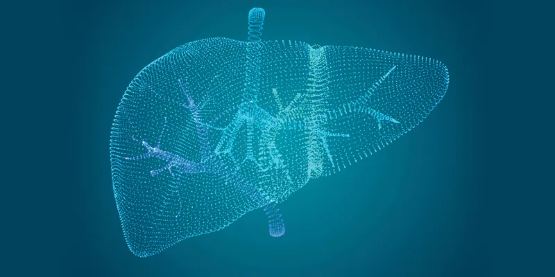 Point-cloud style digital liver illustration with branching vessels on a dark teal background.