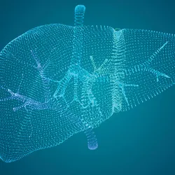Point-cloud style digital liver illustration with branching vessels on a dark teal background.