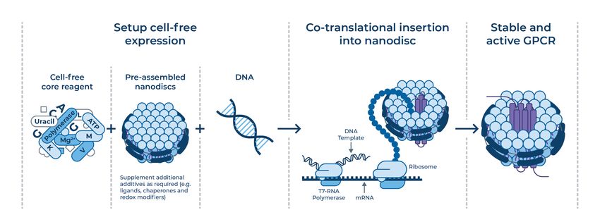 A diagram showing that CFPS enables co-translational insertion of GPCRs into defined lipid environments.