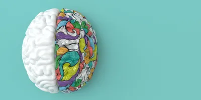 3d brain with half of it as white, and the other as multicolored swirls on a blue background. 