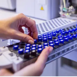 Completing the real-time data picture in bioprocess development