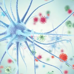 Modeling neurotropic viral infections using human cerebral organoids