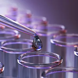 Crush it with low-volume viscosity characterization on Honeybun