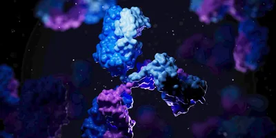 A 3D illustration showing stylized antibody molecules with blue and purple surfaces interacting in a dark, abstract molecular environment.