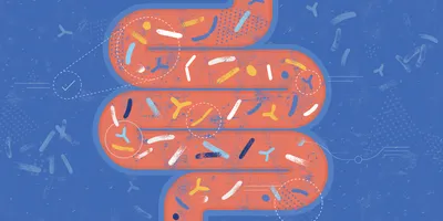 Stylized human intestine microbiota.