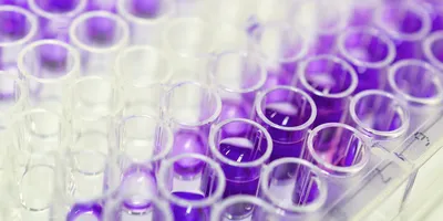 Purple and clear liquid are shown in a zoomed-in image of a clear 96-well plate.