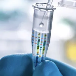 Gloved hand holding a microcentrifuge tube while a pipette dispenses liquid