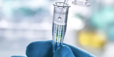 Gloved hand holding a microcentrifuge tube while a pipette dispenses liquid