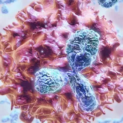 Antibodies shown in blue are suspended in a clear background near a pink cell in a 3D rendering. 