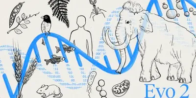 Illustration of gene code with animals in background 