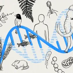 Illustration of gene code with animals in background 