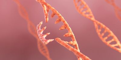 3D illustration of DNA and RNA strands with elements representing gene editing and genetic modification.