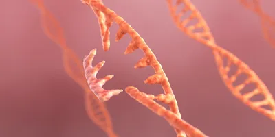 3D illustration of DNA and RNA strands with elements representing gene editing and genetic modification.