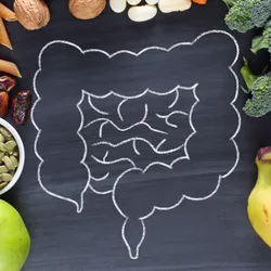 A drawing of a human bowel surrounded by a healthy diet.