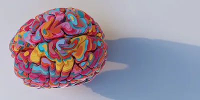 Model of a brain viewed from above, sliced into many horizontal multi-coloured layers of shiny metallic material, stacked up to form brain model. The model sits on a plain white surface with shadow.