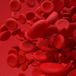 3D rendering, Flying Large group of blood cell. Red Background.