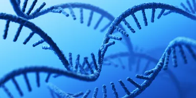 RNA on a blue background.